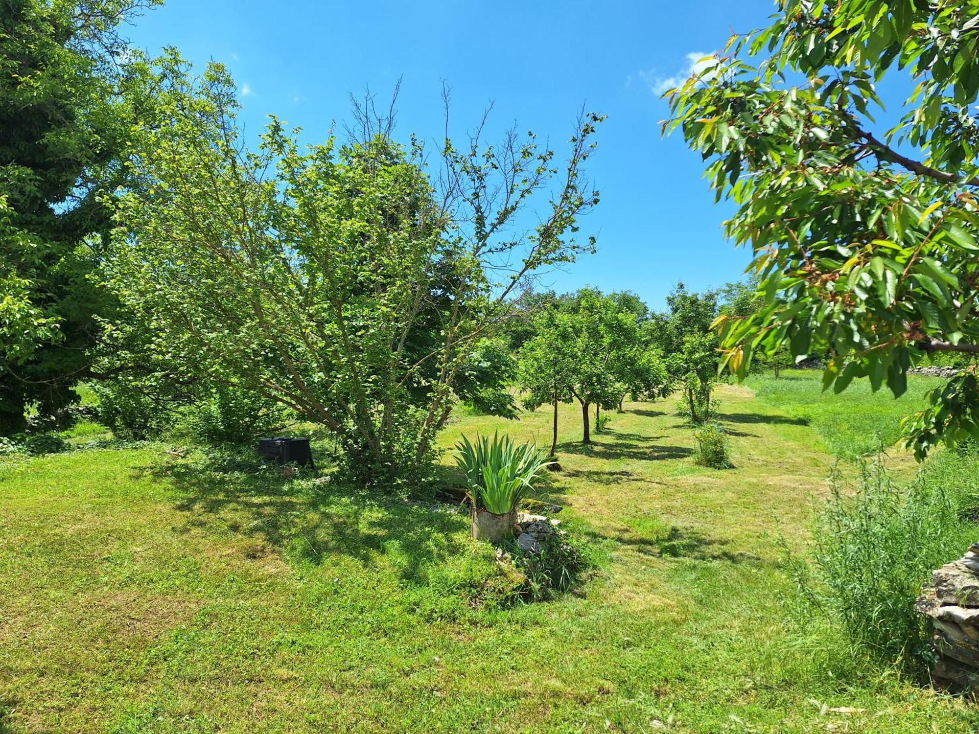Villa Malini Grožnjan Zewnętrze zdjęcie